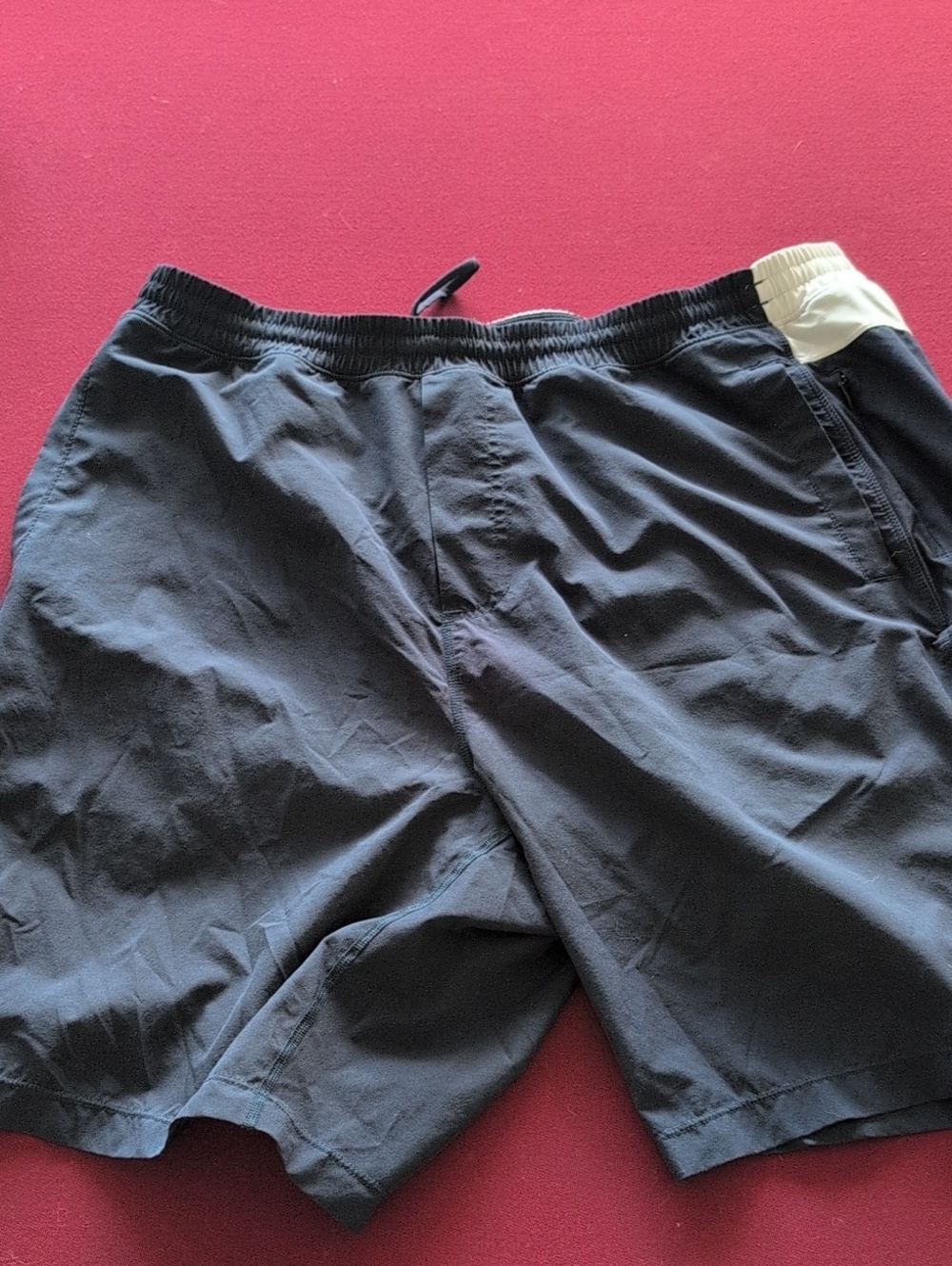 3XL Birddogs Shorts